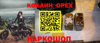 крисы Магадан