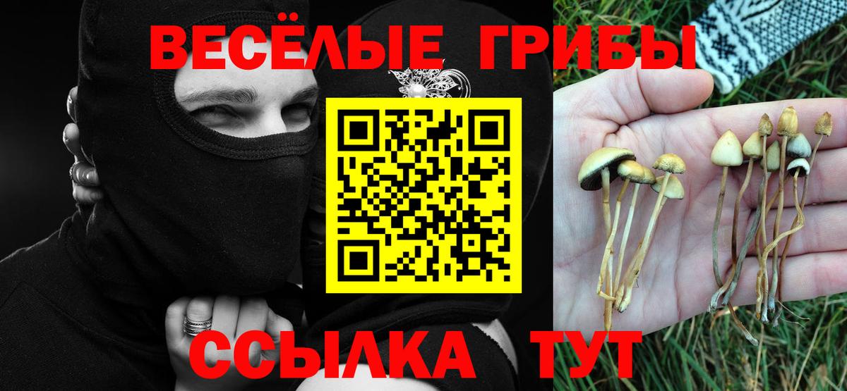 Галлюциногенные грибы Cubensis Магадан