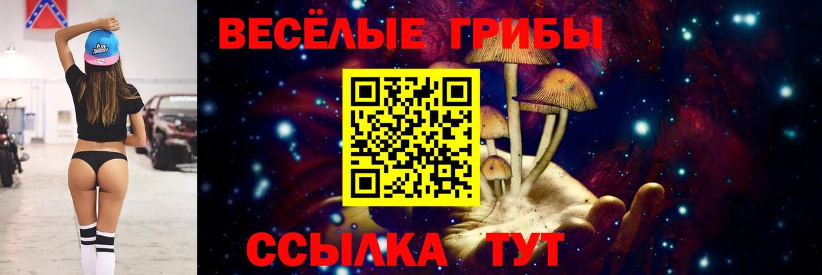 Псилоцибиновые грибы прущие грибы  что такое   Магадан  Вход с VPN 